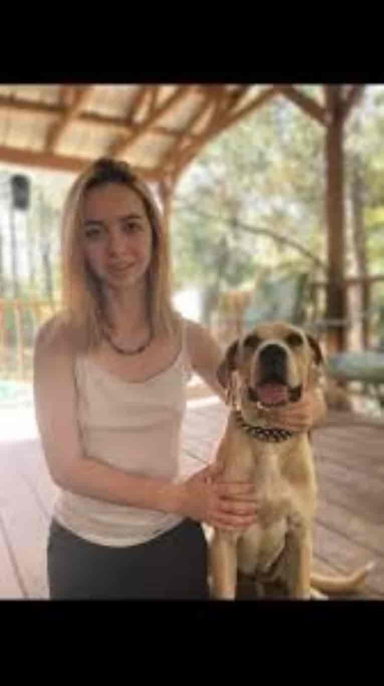 denise frazier dog video (3)